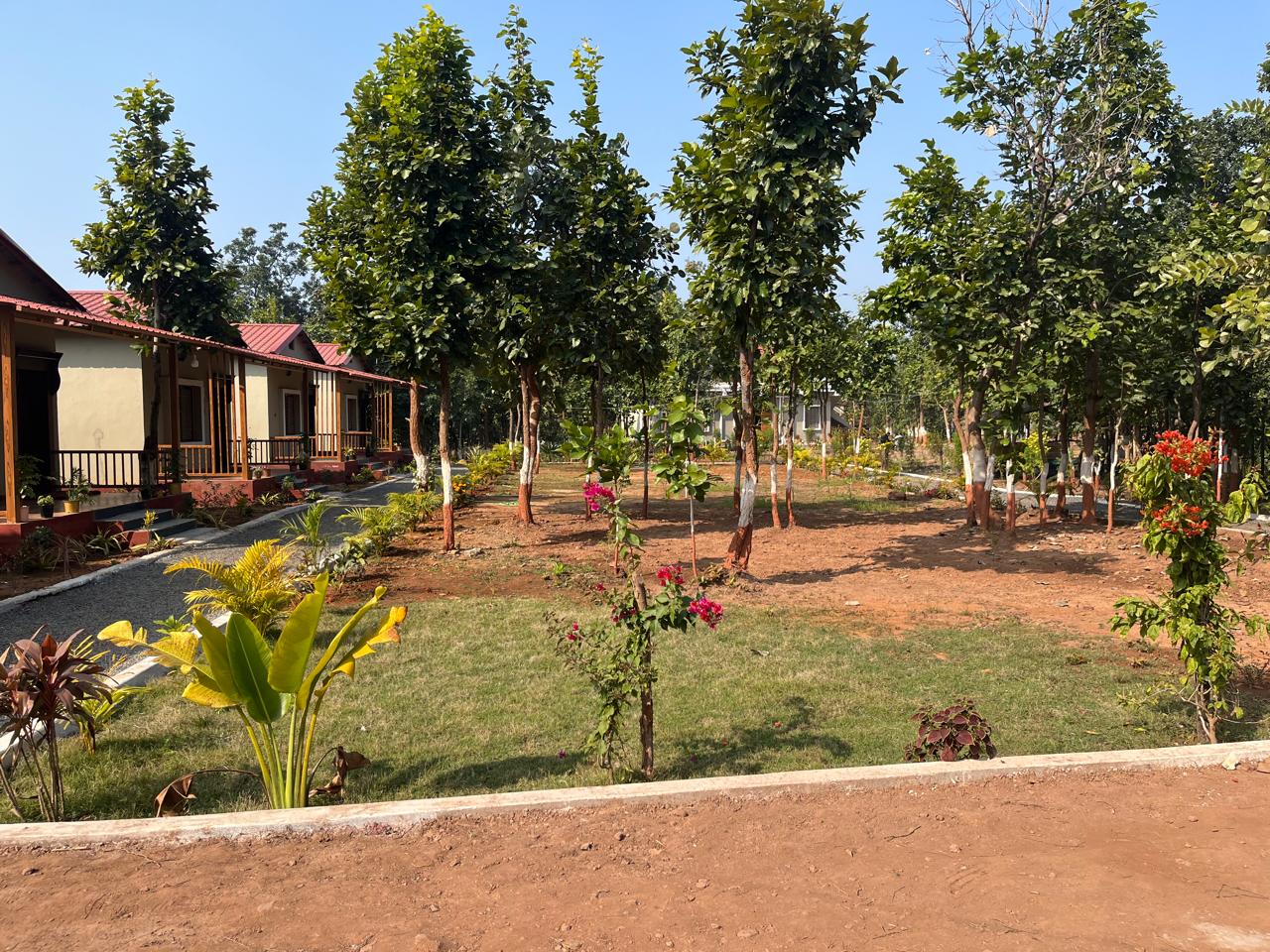 Luxury resort pool with palm trees at sunset